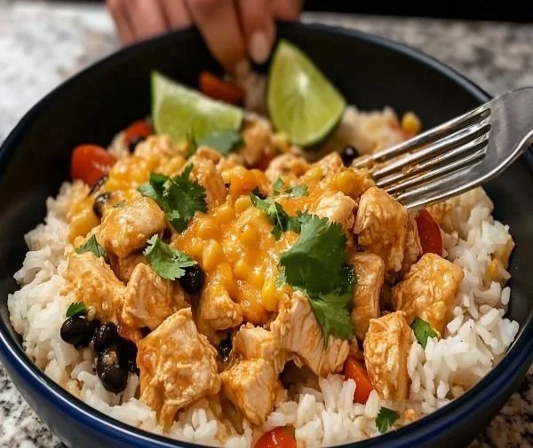 Mexican Chicken and Rice with Cheese 4 Mexican Chicken and Rice with Cheese